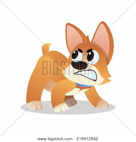 Angry little corgi growling and showing his teeth. Cartoon dog character standing in aggressive pose. Domestic animal concept. Vector illustration in flat style isolated on white background.