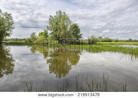 Bucolic Nature Landscape With A Lake, Green Vegetation And Sky With Cloud Reflecting In The Water Su