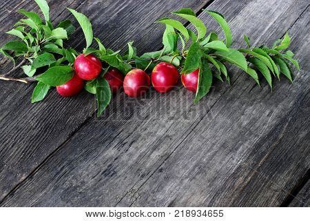 Branch with lrafs of cherry-pulm.Old grey wooden background.Free space.