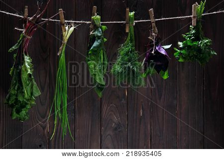 Bunches of fresh herbs spinach, betroots, dill, parsley, spinach, basil, green onion hanging on the string.Wooden background. Concept season herbs