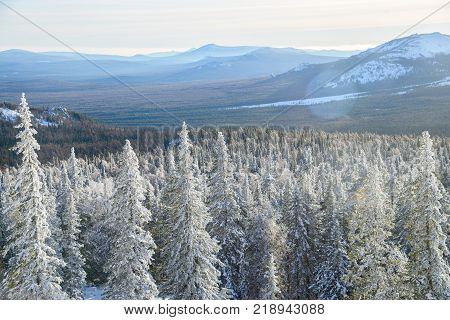 Winter landscape. Snowy forest at mountains, Russia Ural