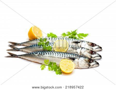 Fresh Whole Mackerel Fish Isolated On White Background