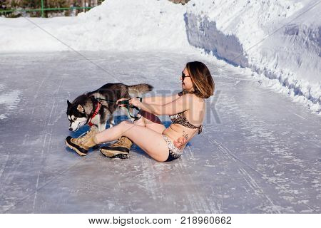 Novokuznetsk, Kemerovo region, Russia - 23 Feb, 2017 : White beaches of Siberia is an enterteiment activity where people playing beach games dressed in bikini in winter. Women in bikini with husky