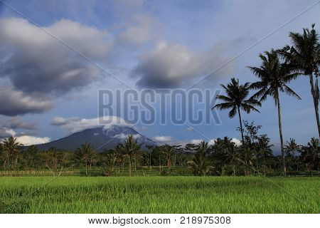 Merapi volcano landscape, Java, Indonesia. View of Merapi volcano