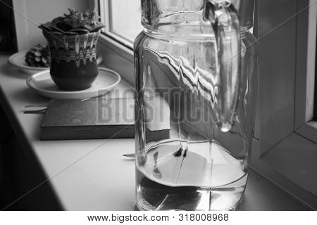 Flower Violet In A Pot, A Carafe With A Foda And A Diary For Planning The Day On The Windowsill