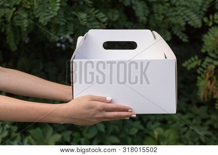Receiving Package Of Baking Mock Up. Close Up Female Holds In Hands Cake Dessert In Unmarked Clear E