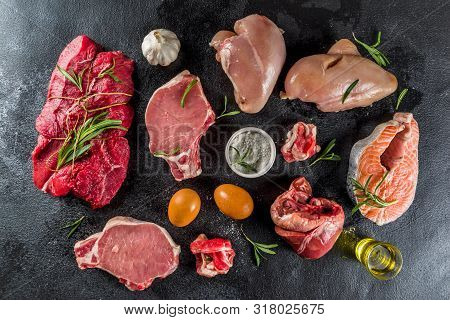 Carnivore Protein Diet Background