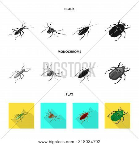 Isolated Object Of Nature And Wildlife Icon. Set Of Nature And Wing Vector Icon For Stock.