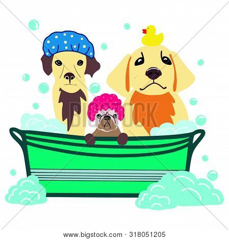 Vector Image Of Three Dogs Sitting In A Bath With Foam And Soap Bubbles. Hand Drawn Pet Care Illustr