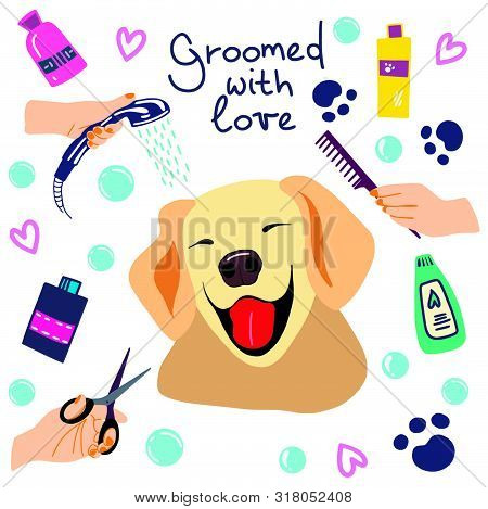 Vector Illustration Of Cute Dogs In The Bath With Foam And Shampoos And Handwritten Phrase Groomed W