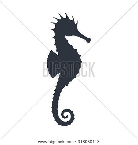 Seahorse Graphic Icon. Seahorse Black Silhouette Isolated On White Background. Vector Illustration