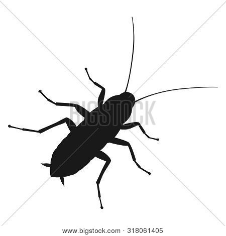 Cockroach Graphic Sign. Cockroach Silhouette Close Up Isolated On White Background. Vector Illustrat