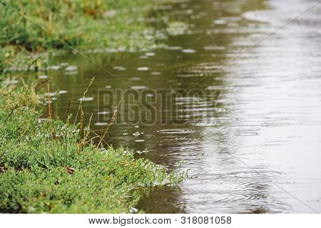 Puddle With Tree Reflection In The Rain. Rainy Day. It's Raining, It's Rainy Weather_