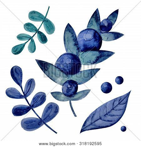 Autumn Collection Of Forest Berries In Watercolor. Blue, Purple Blueberries, Forest Leaves. Isolated