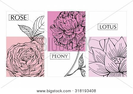 Vector Collection Of Labels, Stickers And Postcards For Products. Banners Of Hand-drawn Flowers, Ros