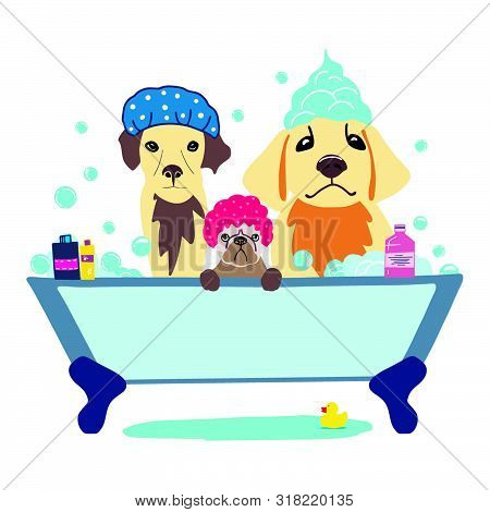 Vector Illustration Of Cute Dog In The Bath With Foam And Shampoos And Handwritten Phrase Groomed Wi