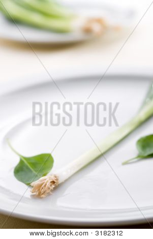 High Key Green Onion On A Plate