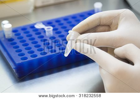 Scientist Hands In White Gloves Holding The Eppendorf Tube With Dna Samples  In Laboratory.