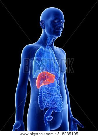 3d rendered medically accurate illustration of an old mans liver