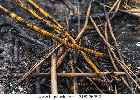 Black Charred Coal Of Scanting Of An Extinct Fire
