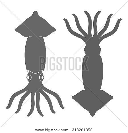 Squids Graphic Icons. Squids Signs Isolated On White Background. Vector Illustration