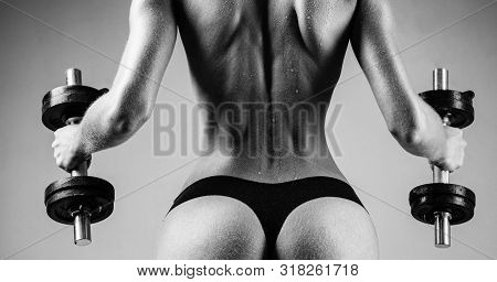 Attractive Female Doing Biceps Curl With Dumbbells In The Gym. Female Fitness Model. Healthy Woman D