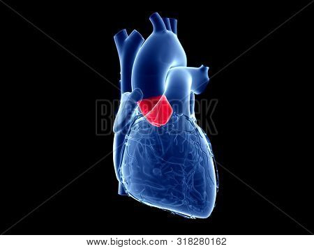 3d rendered medically accurate illustration of the aortic valve