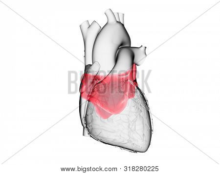 3d rendered medically accurate illustration of the left atrium