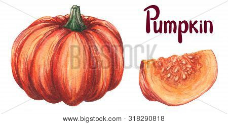 Pumpkin Watercolor Hand Draw Illustration. Orange Pumpkin Whole, Slice, Cut With Seeds. Autumn Veget