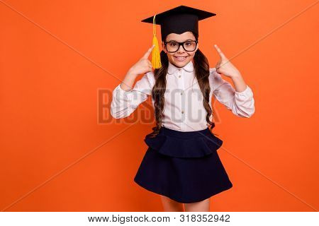Portrait Of Cute Attractive Kid Preteen Wear Skirt Dress White Shirt Blouse Genius Masters Bachelor 