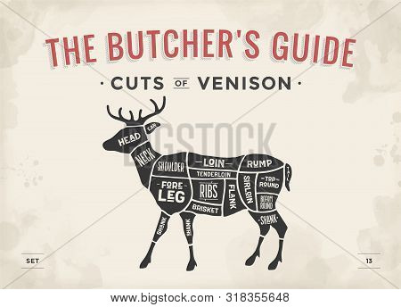 Cut Of Meat Set. Poster Butcher Diagram, Scheme - Venison