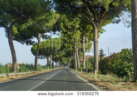 Scenic Driving On New Via Appia Road S7 With High Green  Mediterranean Pine Trees Connected Rome, La