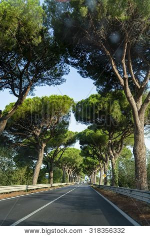 Scenic Driving On New Via Appia Road S7 With High Green  Mediterranean Pine Trees Connected Rome, La