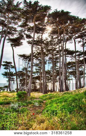 Lands End