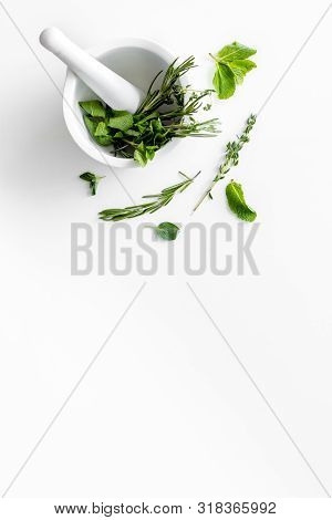 Homeopathy With Leaves And Healing Herbs For Making Oil On White Background Top View Copyspace