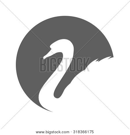 Swan Graphic Icon. Silhouette Of Swan In The Grey Circle Isolated On White Background. Logo. Vector 