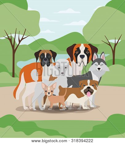 Group Of Dogs Pets In The Camp Characters Vector Illustration Design