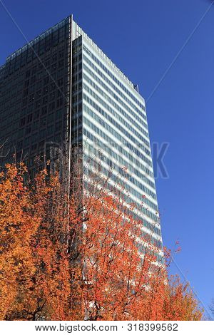 Tokyo, Japan - December 2, 2016: Autumn View Of Tokyo Modern Architecture From Kyu Shiba Rikyu Garde