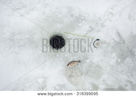 Ice And Fishing Rod For Winter Fishing. Winter Fishing. Small Catch Of Fish.