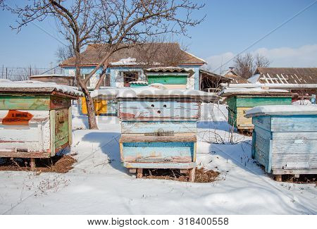 Close-up Group Of Beehives In A Winter Garden With Snow Cover On A Sunny Day.