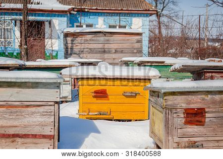 Close-up Group Of Beehives In A Winter Garden With Snow Cover On A Sunny Day.
