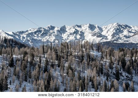 Winter. View Of The Snow-capped Peaks Of The Mountains With Coniferous Forest In The Foreground.