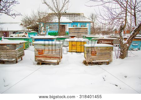 Hives Close-up In A Winter Garden With Snow Cover On A Sunny Day.