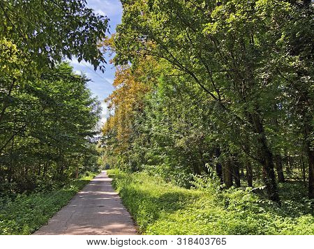 Draskovic Castle Park Or Park Oko Dvorca Blahimir Ili Perivoj Dvorca Draskovic - Bozjakovina, Croati