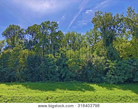 Draskovic Castle Park Or Park Oko Dvorca Blahimir Ili Perivoj Dvorca Draskovic - Bozjakovina, Croati