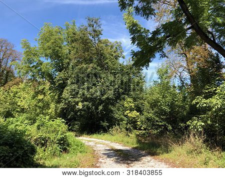 Draskovic Castle Park Or Park Oko Dvorca Blahimir Ili Perivoj Dvorca Draskovic - Bozjakovina, Croati