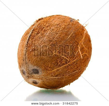 ? oconut isolerad på vit