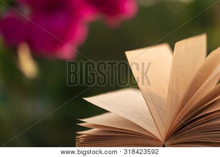 Wind Flipping Pages Of A Book At Outdoor Nature Park At Sunset. Background Concept For Calm, Peacefu