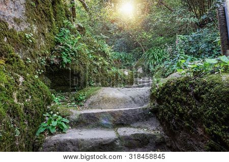 Stone Stairs Covered Moss In Medieval Cloister