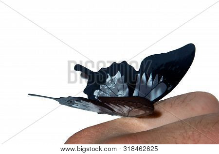 Butterfly On Hand. In Motion Concept Isolated